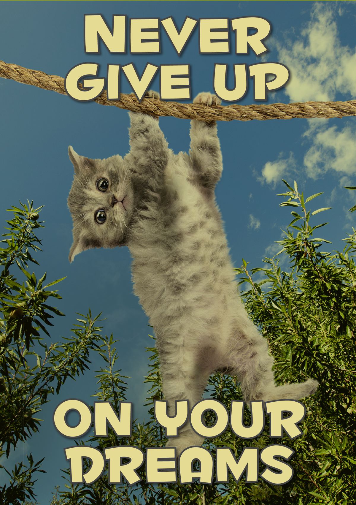 Never Give Up On Your Dreams